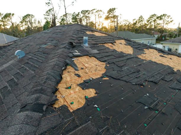 Best Roof Maintenance and Cleaning  in Ferndale, CA